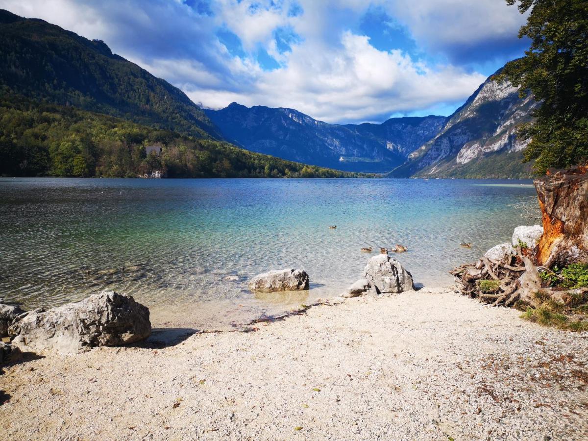 Apartmaji Prezelj Bohinj Zewnętrze zdjęcie