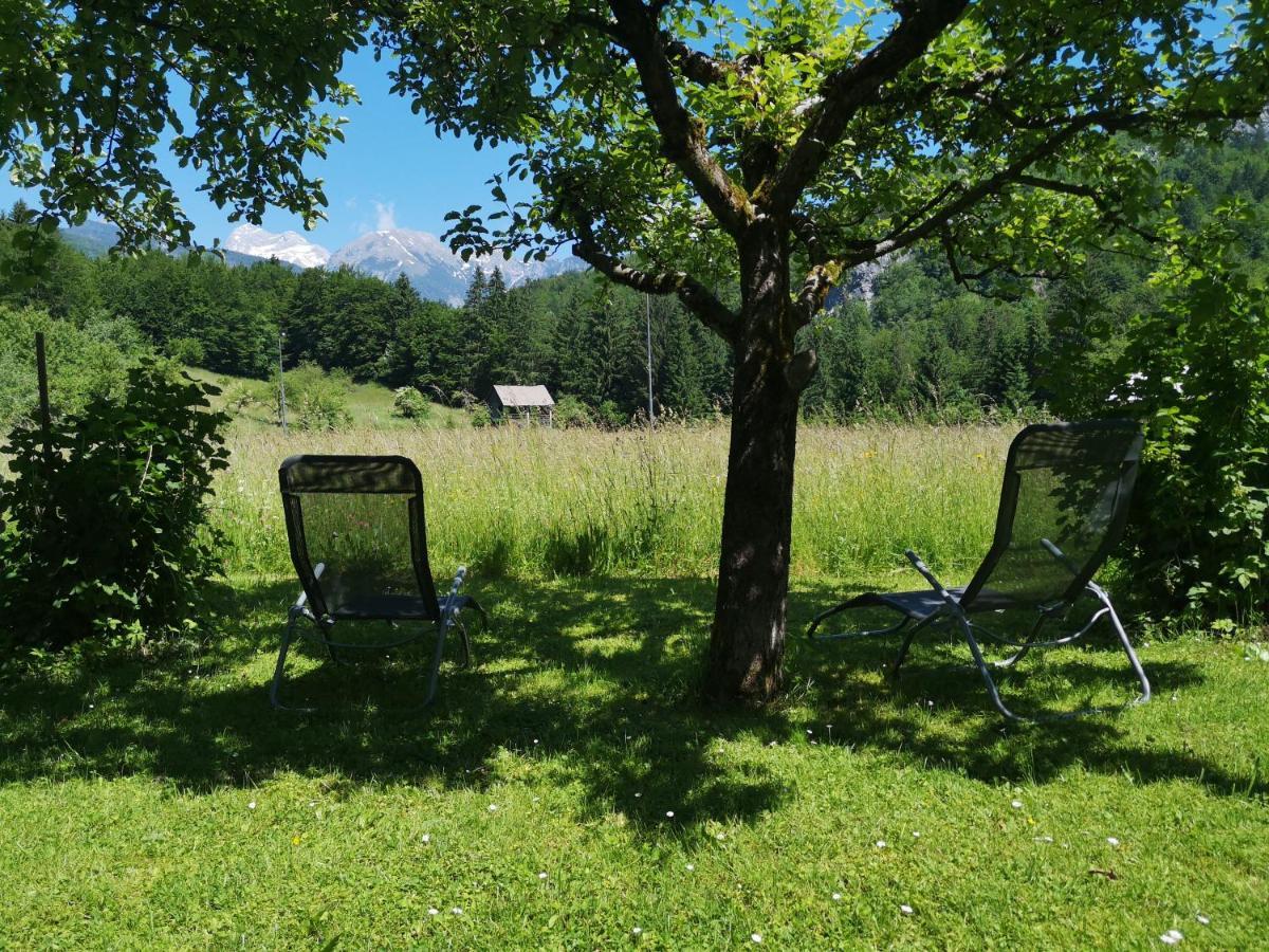 Apartmaji Prezelj Bohinj Zewnętrze zdjęcie