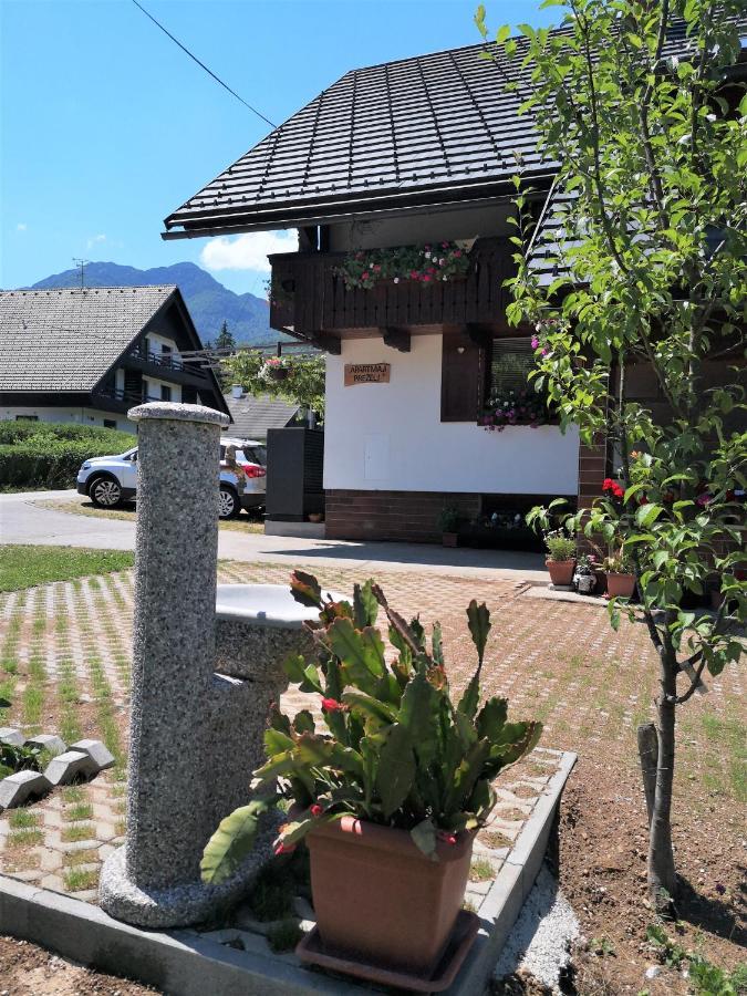 Apartmaji Prezelj Bohinj Zewnętrze zdjęcie