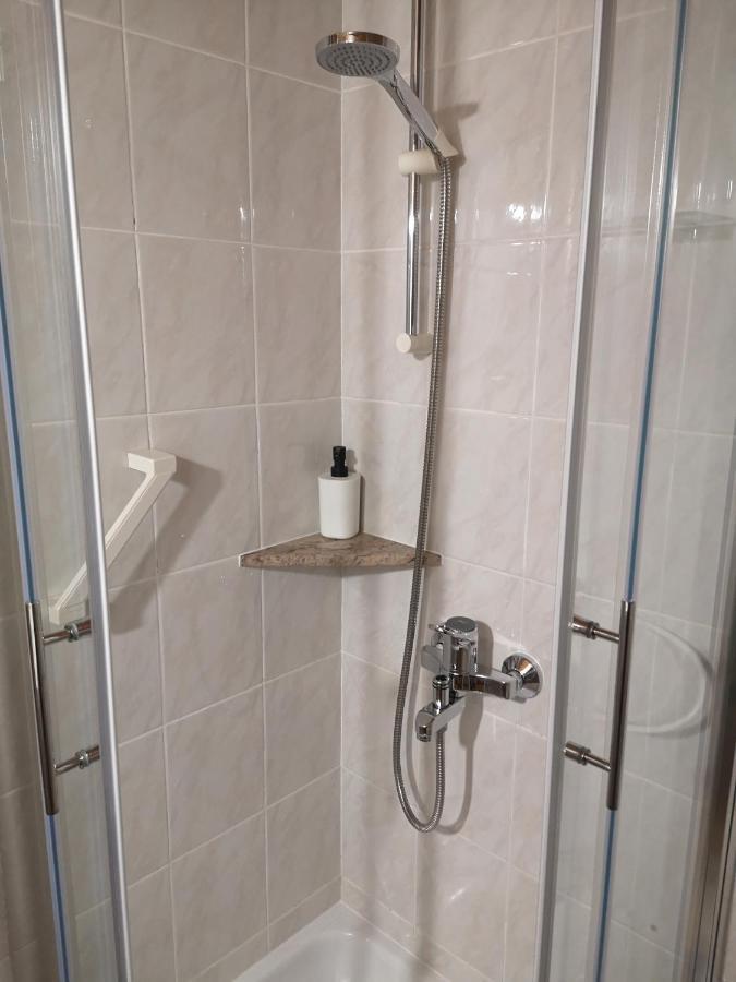 Apartmaji Prezelj Bohinj Zewnętrze zdjęcie